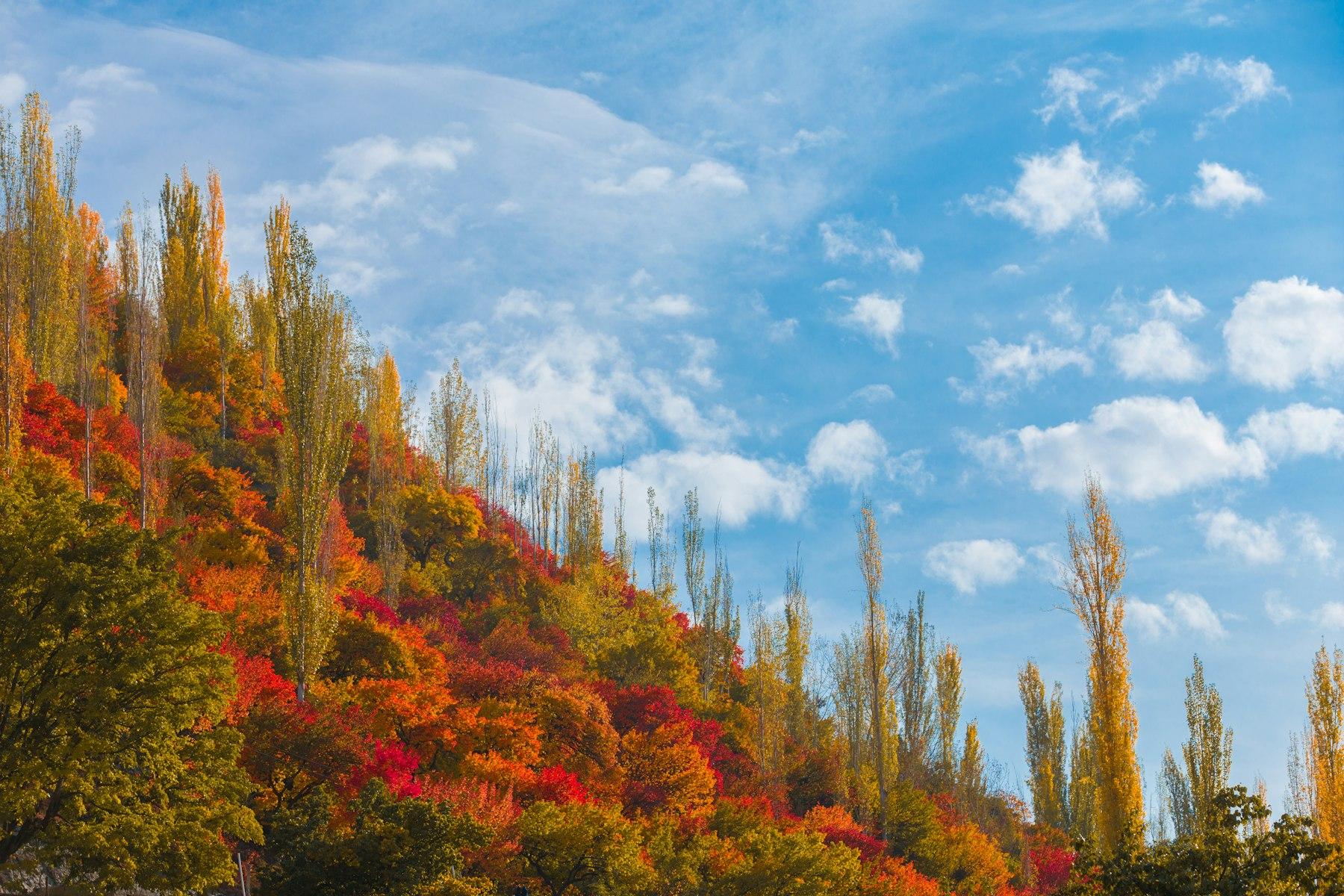 Autumn in Pakistan