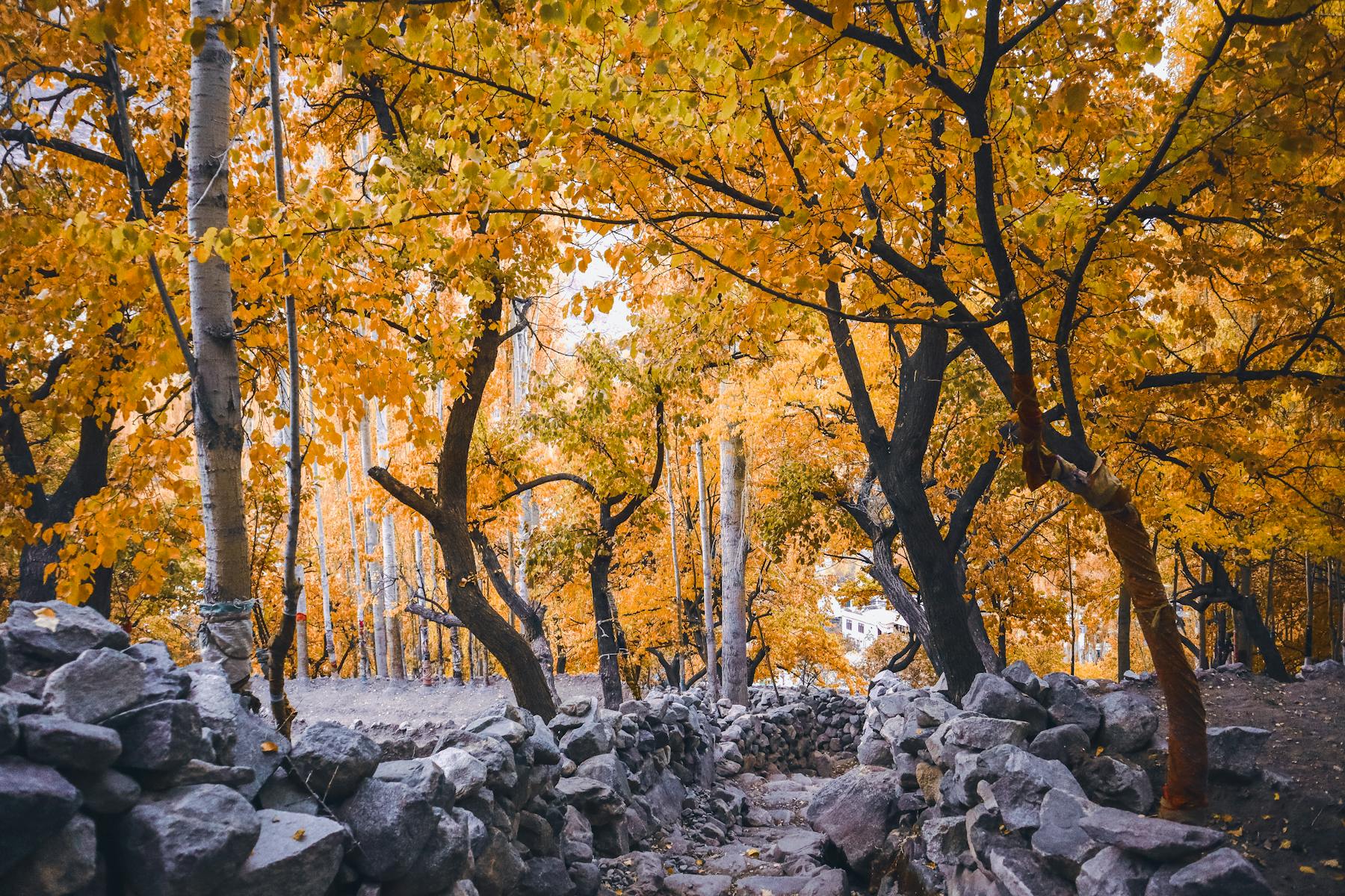 Autumn in Skardu & Hunza