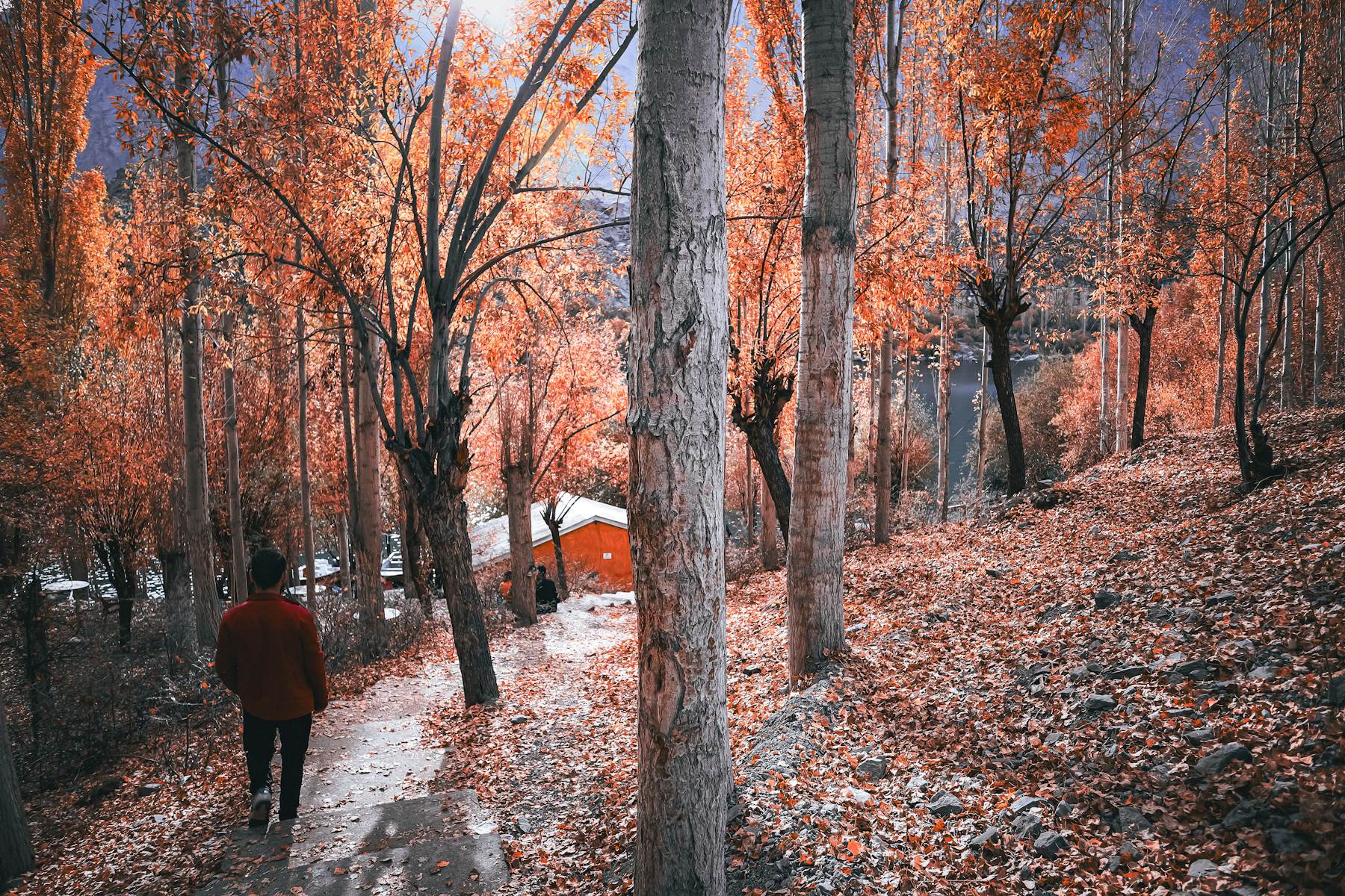 Skardu